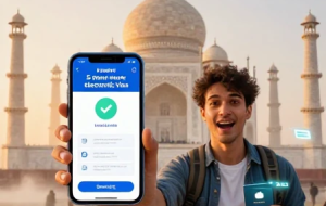 هند ویزای الکترونیکی پنج ساله را برای ایرانیان راه اندازی کرد؛ برو تاج محل را هر سال ببین